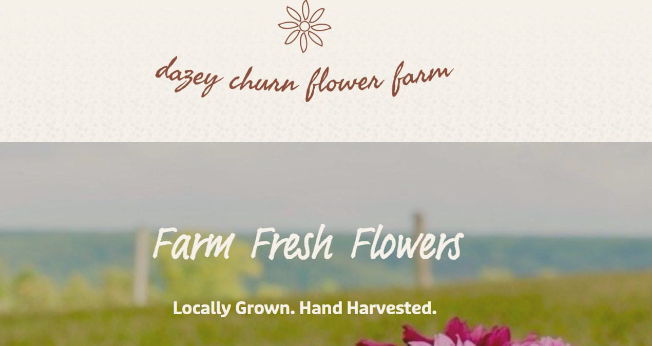dazey-churn-homepage